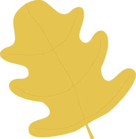 Yellow Oak Autumn Leaf Clip Art   Yellow Oak Autumn Leaf Image