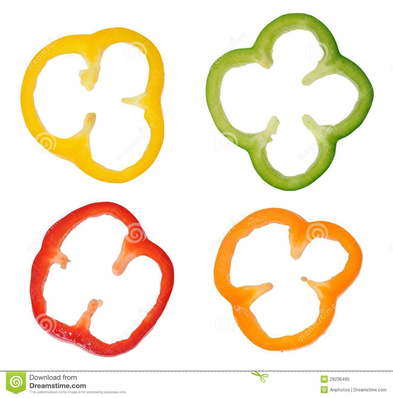Four Colorful Slices Of Bell Pepper Royalty Free Stock Photo   Image    