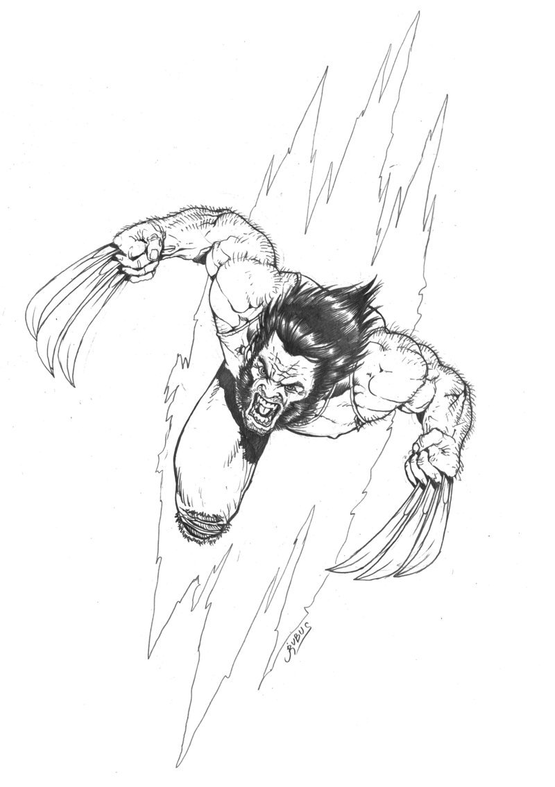 Marvel   Wolverine Pencils By Rubusthebarbarian On Deviantart