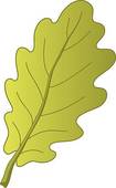 Oak Leaf Clip Art