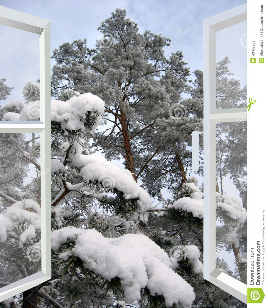 Open Window To Snowy Winter Forest With Branch Of Pine