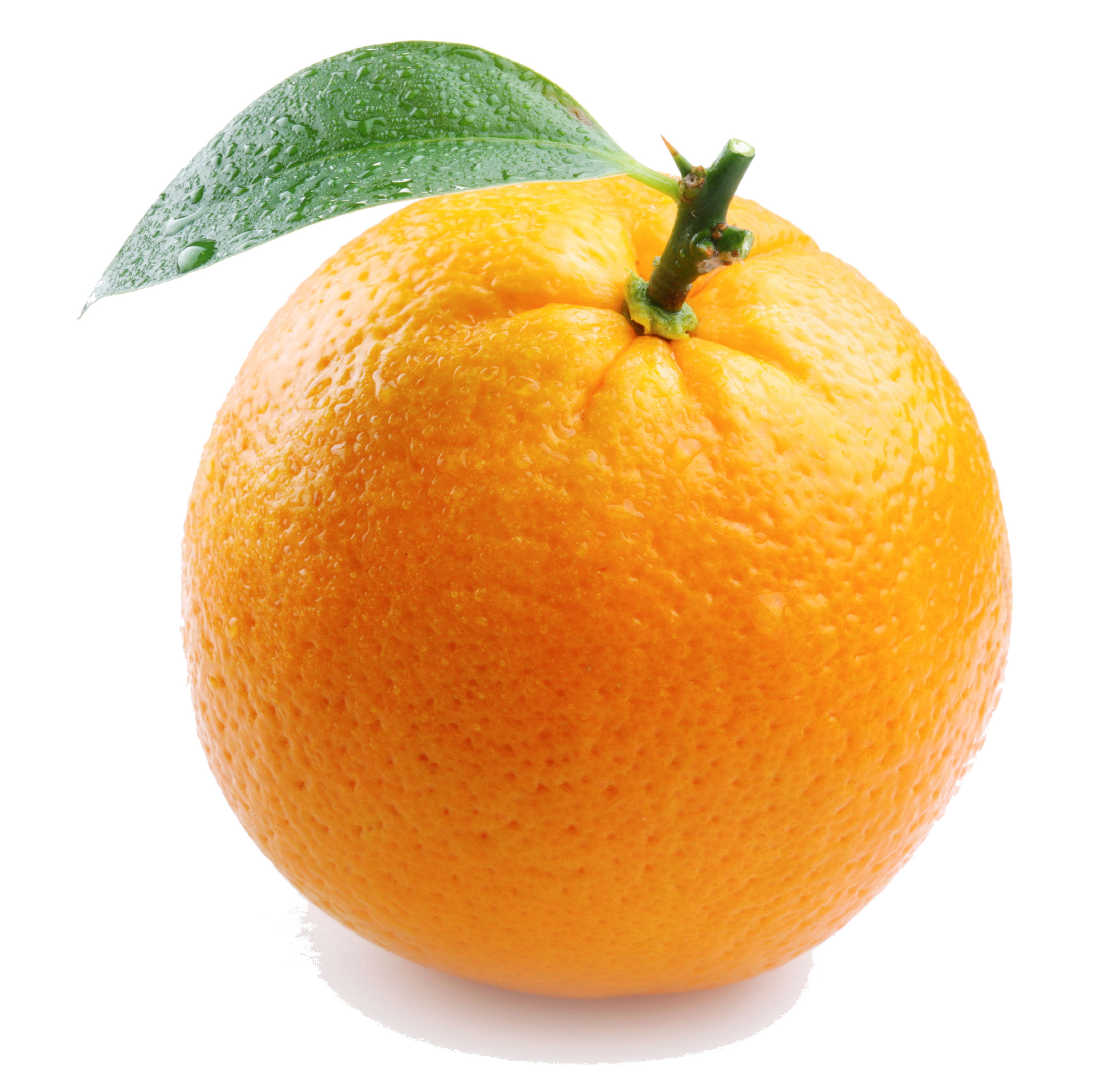 Orange Fruit   Orange Photo  34512881    Fanpop