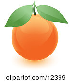 Royalty Free  Rf  Illustrations   Clipart Of Orange Fruits  1