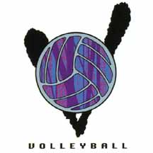 Volleyball T Shirts   Closeout Sale  6 95 Each