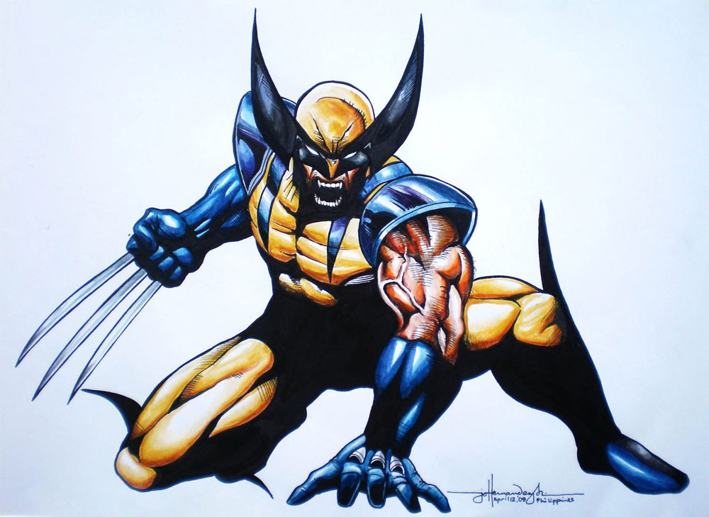 Wolverine Masked Superhero Fan Art