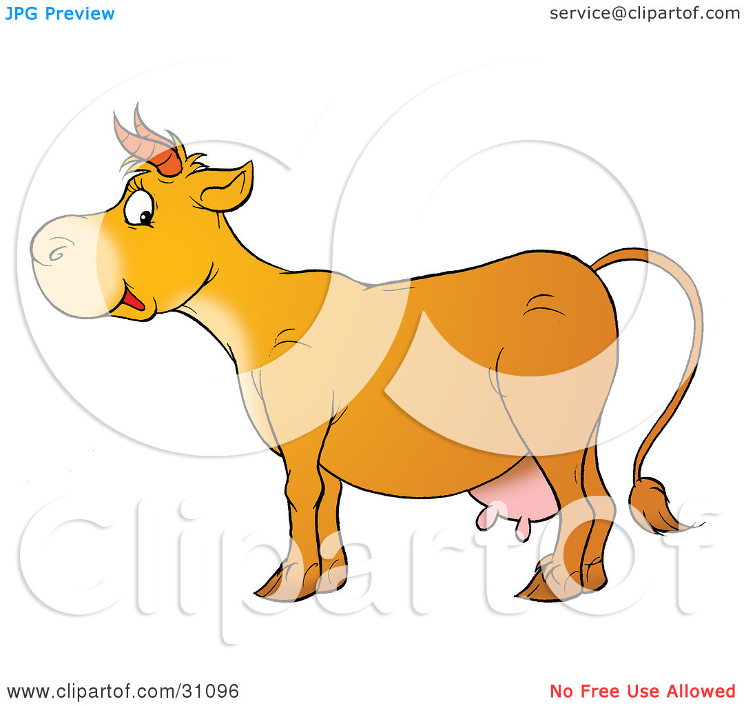 Cute Cow In Profile With Pink Udders And Short Horns By Alex Bannykh    