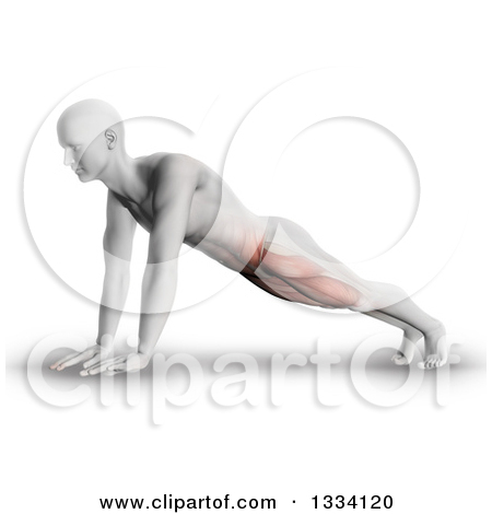 Pose Or Doing Push Ups With Visible Leg And Ab Muscles On Shaded White