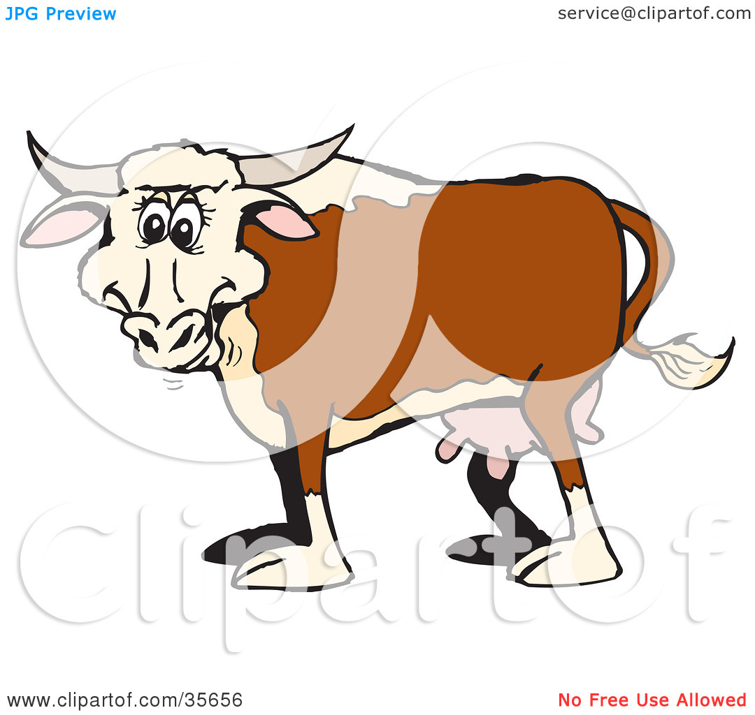 White And Beige Cow With Udders And Horns By Dennis Holmes Designs    