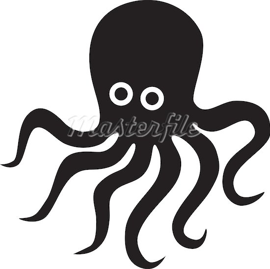 Black And White Octopus   
