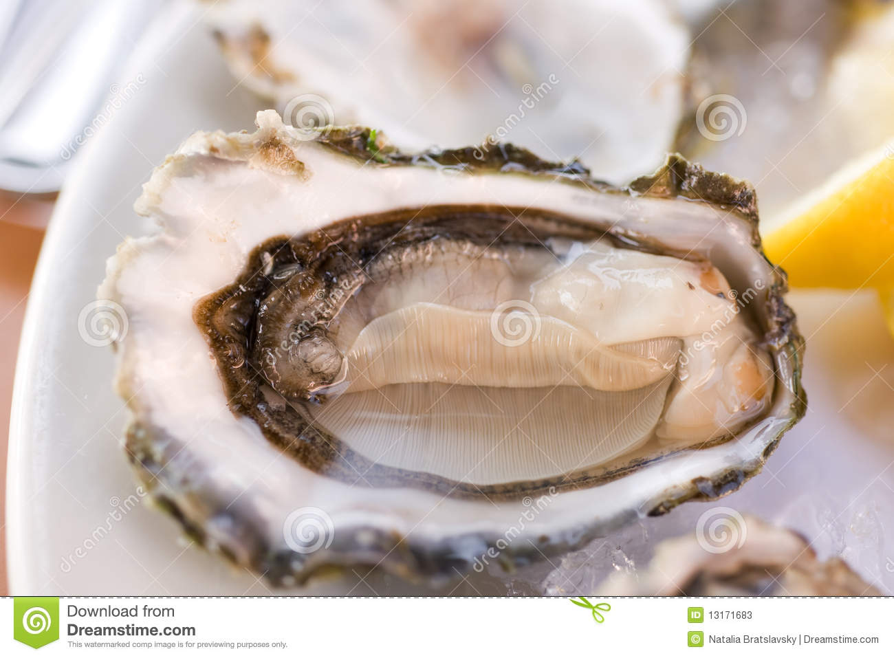 Fresh Half Shell Oyster On The Plate In Seattle Restaurant  Shallow