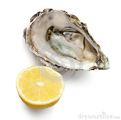 Fresh Oyster And Half Of Lemon Stock Photo   Image  51207598