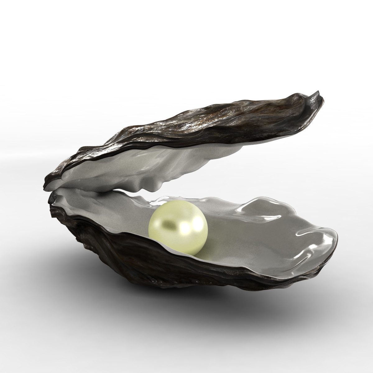 Oyster Illustrations And Clip Art  881 Oyster Royalty Free