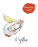 Oyster Stock Illustrations Vectors   Clipart    1424 Stock