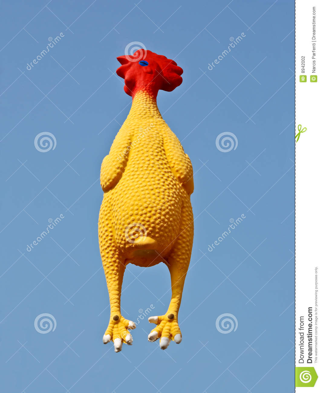 Rubber Chicken Stock Photography   Image  8942002