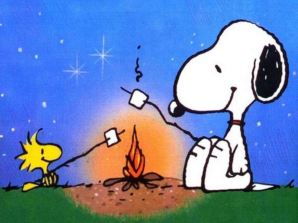 Snoopy Camping