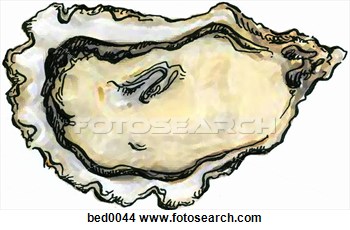 Stock Illustration   Oyster  Fotosearch   Search Clipart Illustration