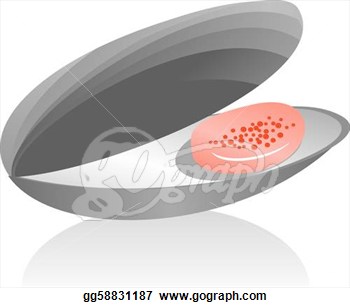 Vector Illustration   Oyster   Stock Clip Art Gg58831187   Gograph