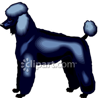0060 0811 2518 0934 Dog Breed Standard Poodle Clipart Image Jpg