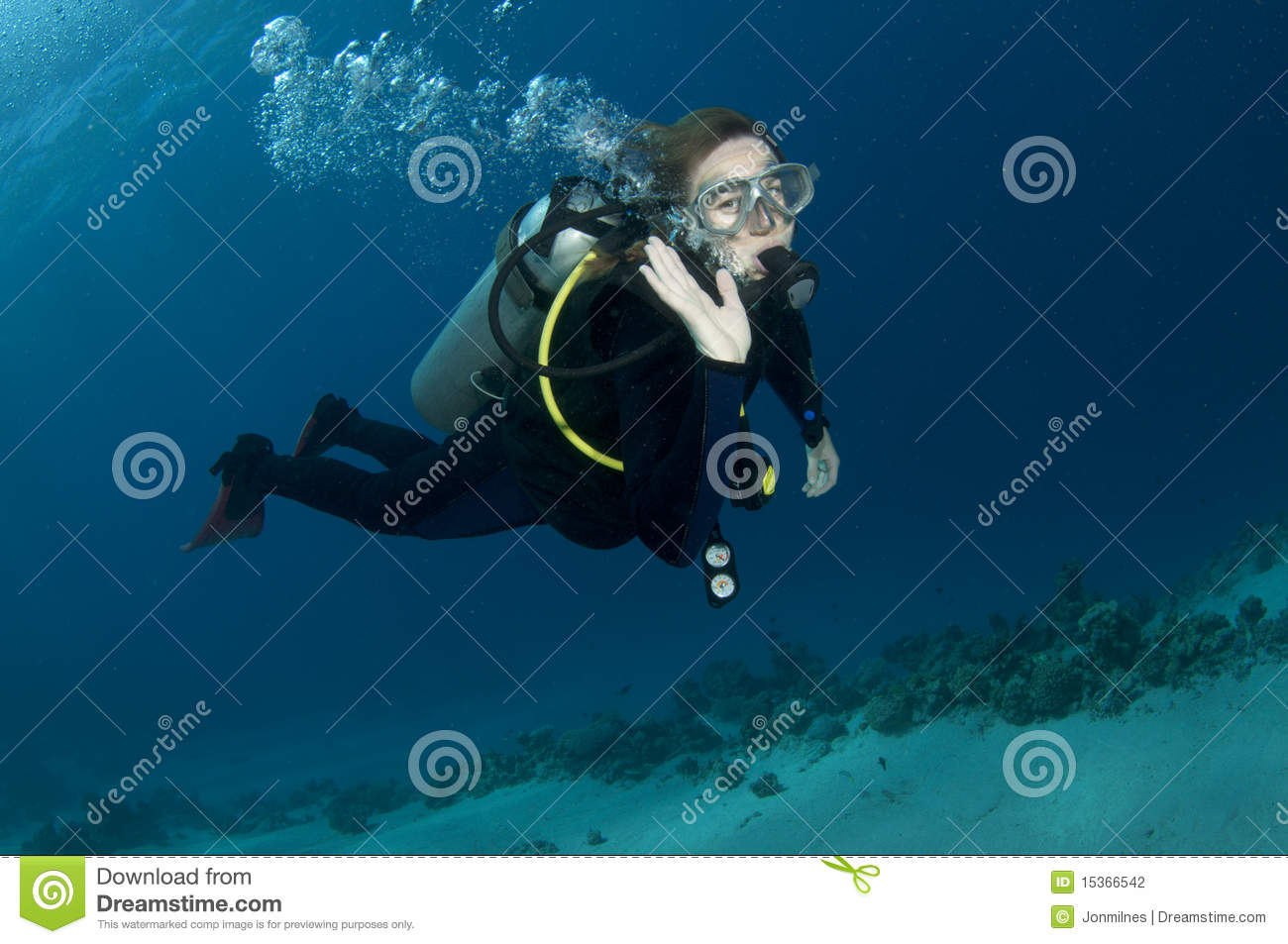 Female Scuba Diver Stock Photography   Image  15366542