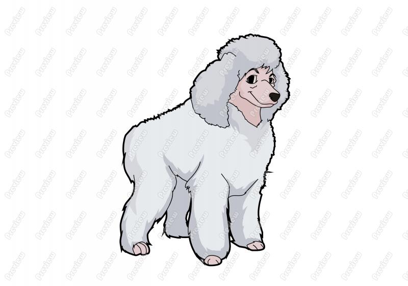 Friendly Standard Poodle Dog Character Clip Art   Royalty Free Clipart