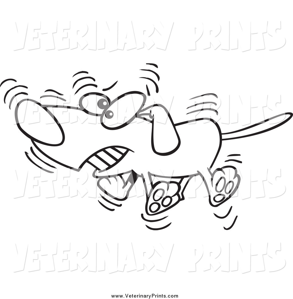 Vet Clipart Black And White Veterinary Print Of A Cartoon