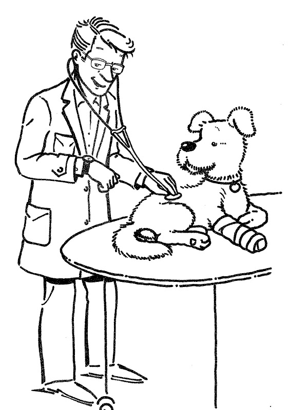 Vet   Free Coloring Pages   Coloring Pages