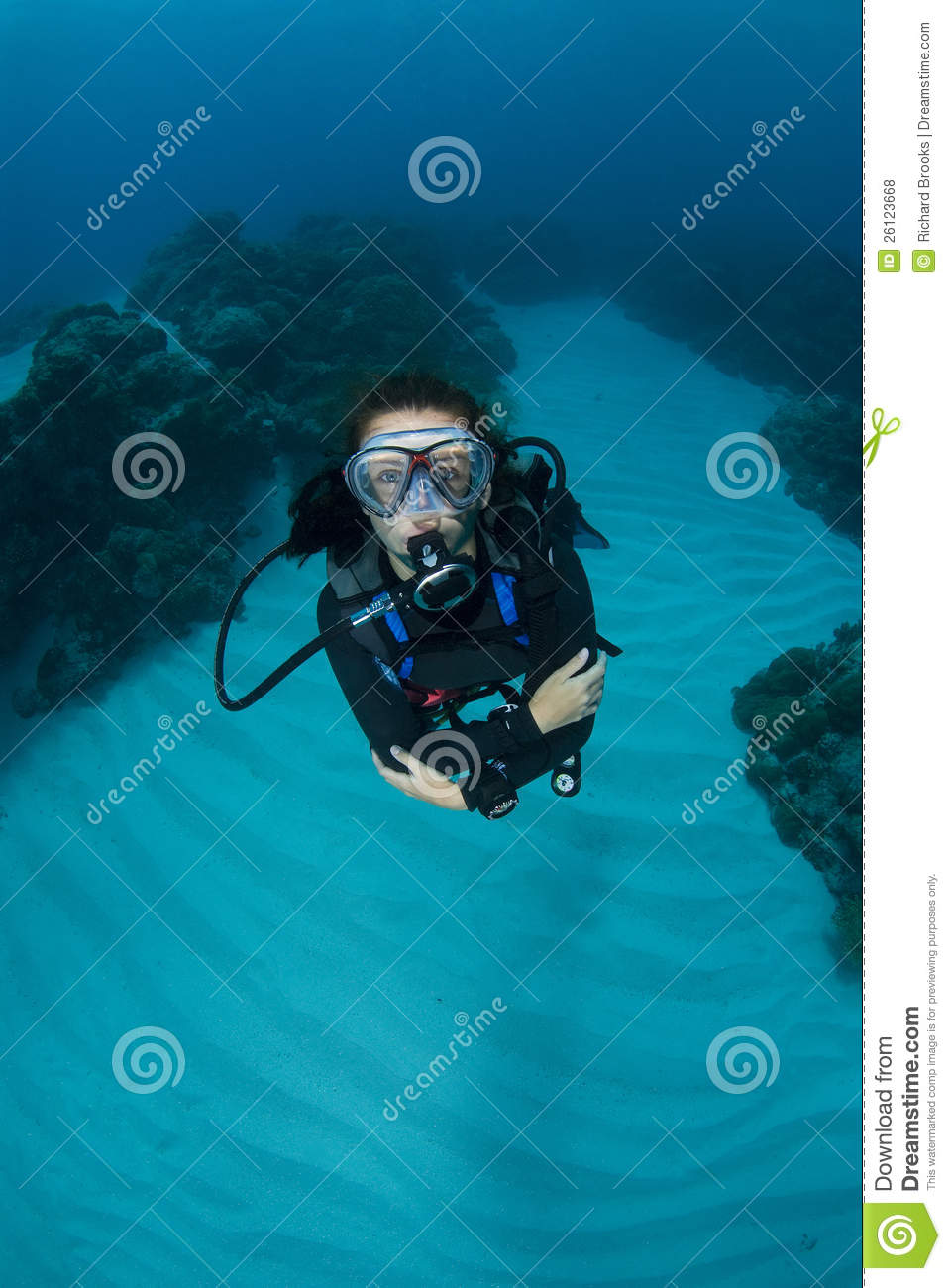 Young Female Scuba Diver Royalty Free Stock Photos   Image  26123668