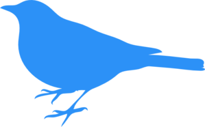 Baby Blue Bird Clip Art At Clker Com   Vector Clip Art Online Royalty