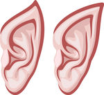 Big Ears Illustrations And Clipart