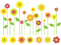 Bright Spring Flower Stock Illustrations Vectors   Clipart