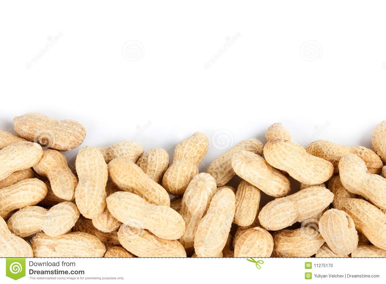 Peanuts Border Isolated On A White Background 