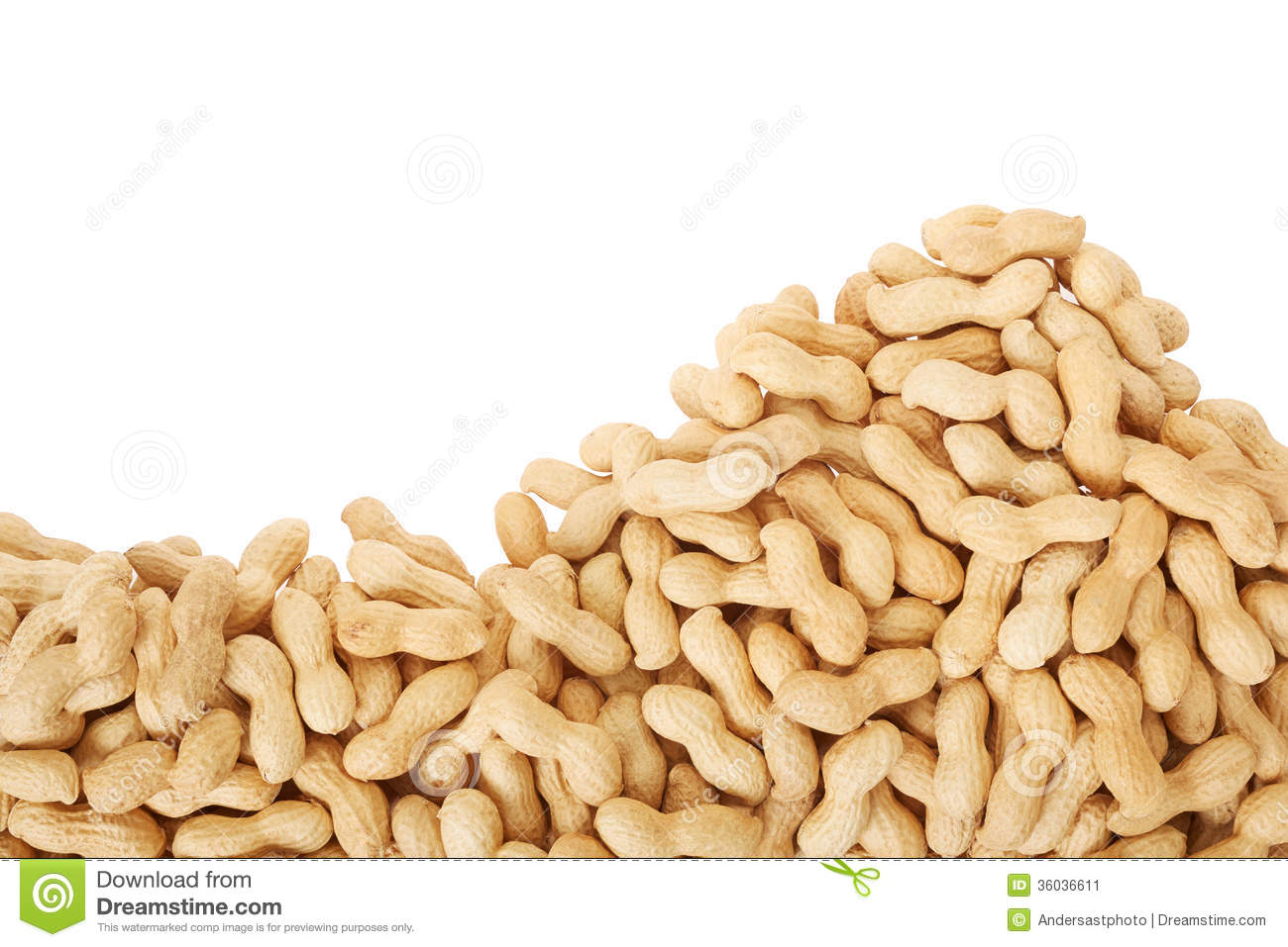 Peanuts In Shell Border Isoalted On White Clipping Path Included