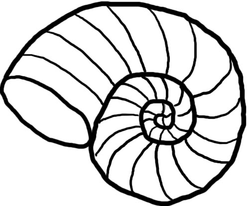 Conch Clipart Free Cliparts That You Can Download To You Computer