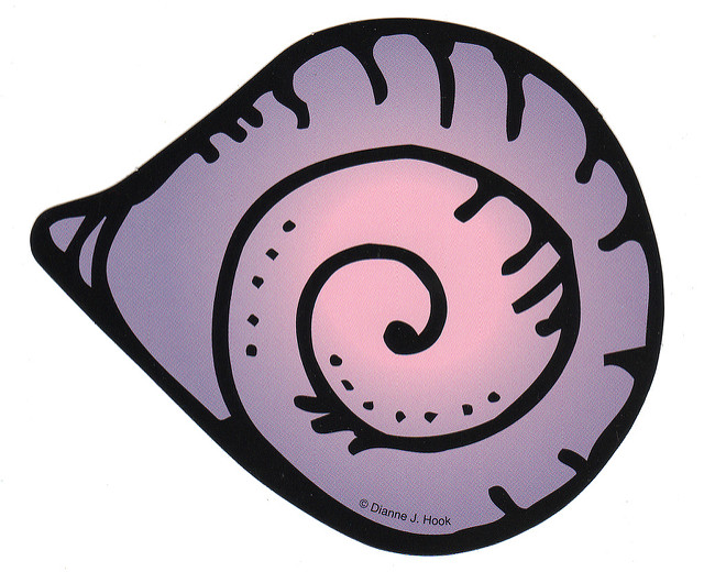 Conch Shell Clip Art   Flickr   Photo Sharing