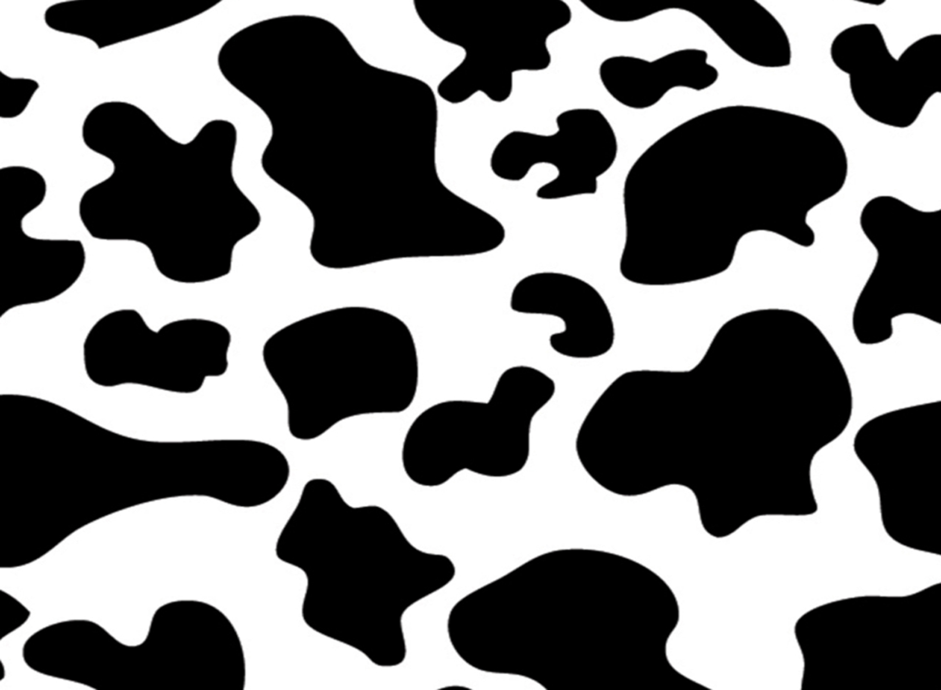 Cow Pattern Cow Print Jpg