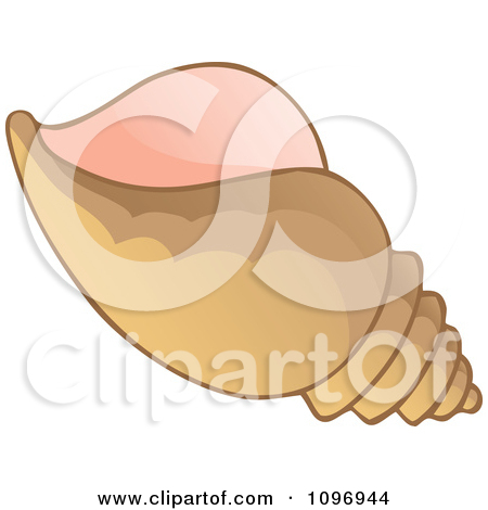 Royalty Free  Rf  Illustrations   Clipart Of Conch Shells  1