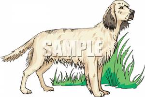 Dog Standing At Attention   Royalty Free Clipart Picture