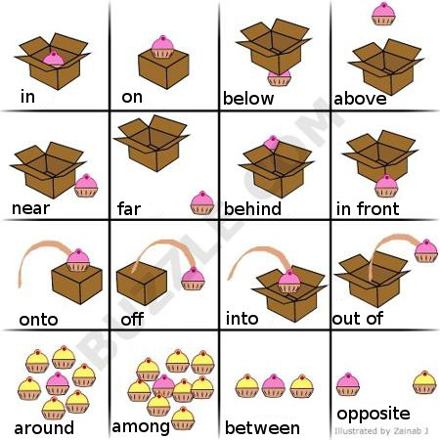 Spot These Are Also Called Prepositions Of Location Or Position For