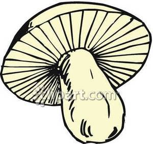 Big Black And White Mushroom   Royalty Free Clipart Picture