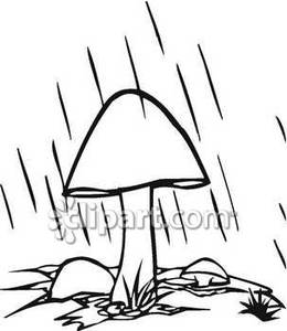 Black And White Mushroom In The Rain   Royalty Free Clipart Picture