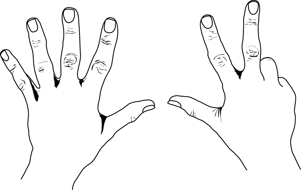 European Style Counting Hands   Clipart Etc