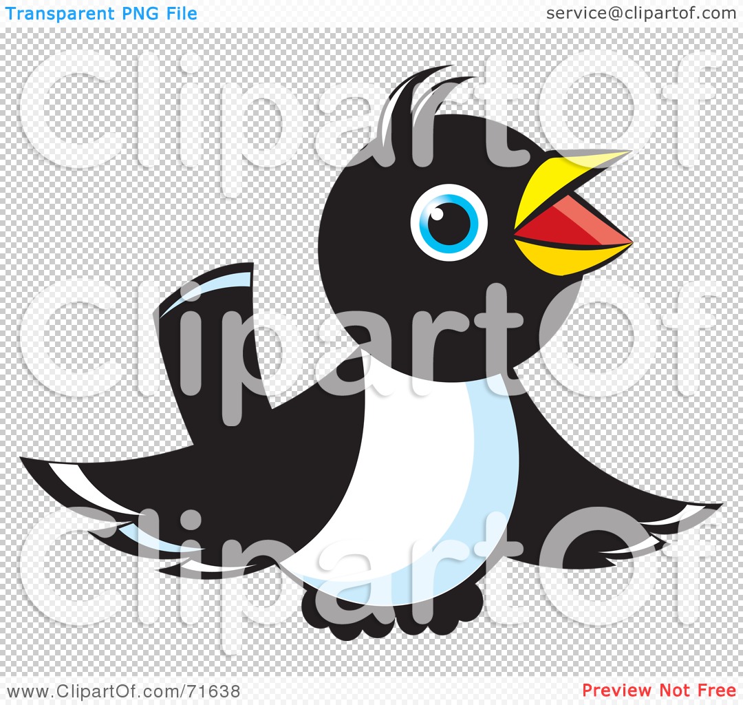 Free  Rf  Clipart Illustration Of A Magpie Bird Hovering And Chirping