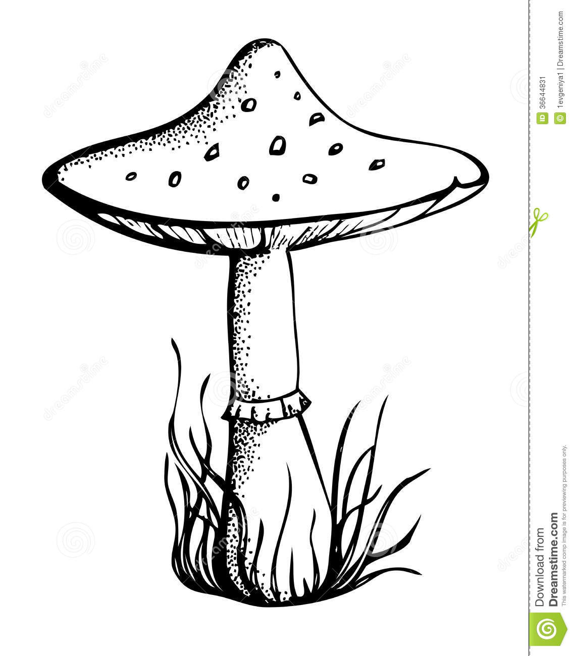 Graphical Monochrome Black And White Mushroom Draw Stock Image   Image