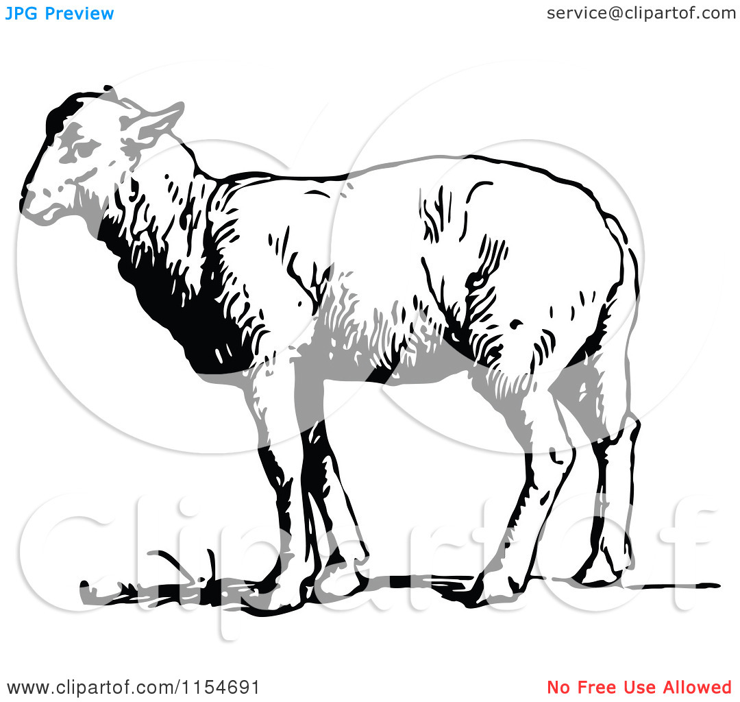 Lamb Black And White Clipart Clipart Of A Retro Vintage