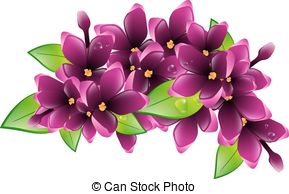 Lilac Flower   Illustration Of Spring Wet Lilac Flower
