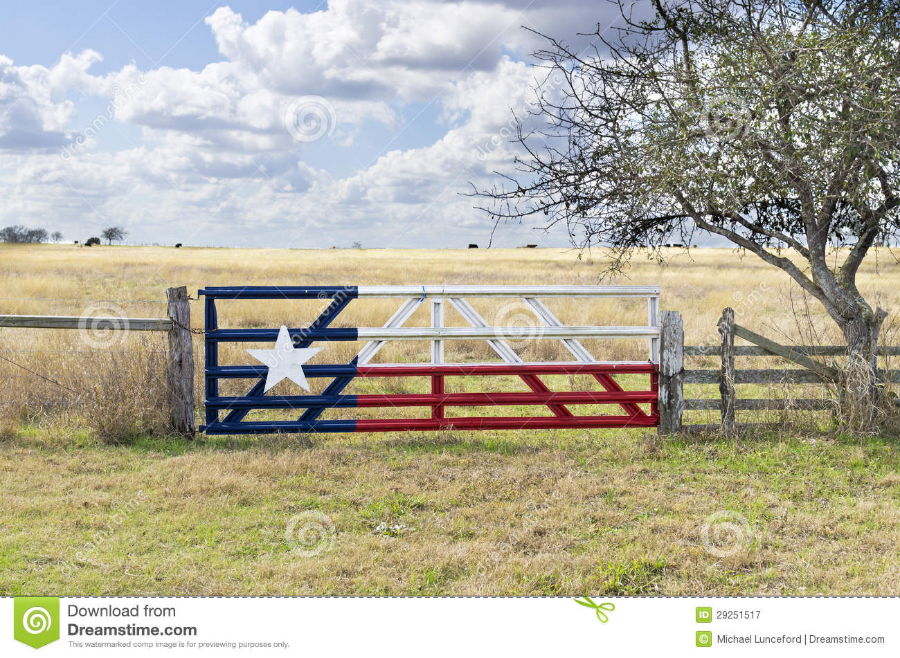     Near Schulenberg Texas With A Cattle Gate Painted With A Texas Flag