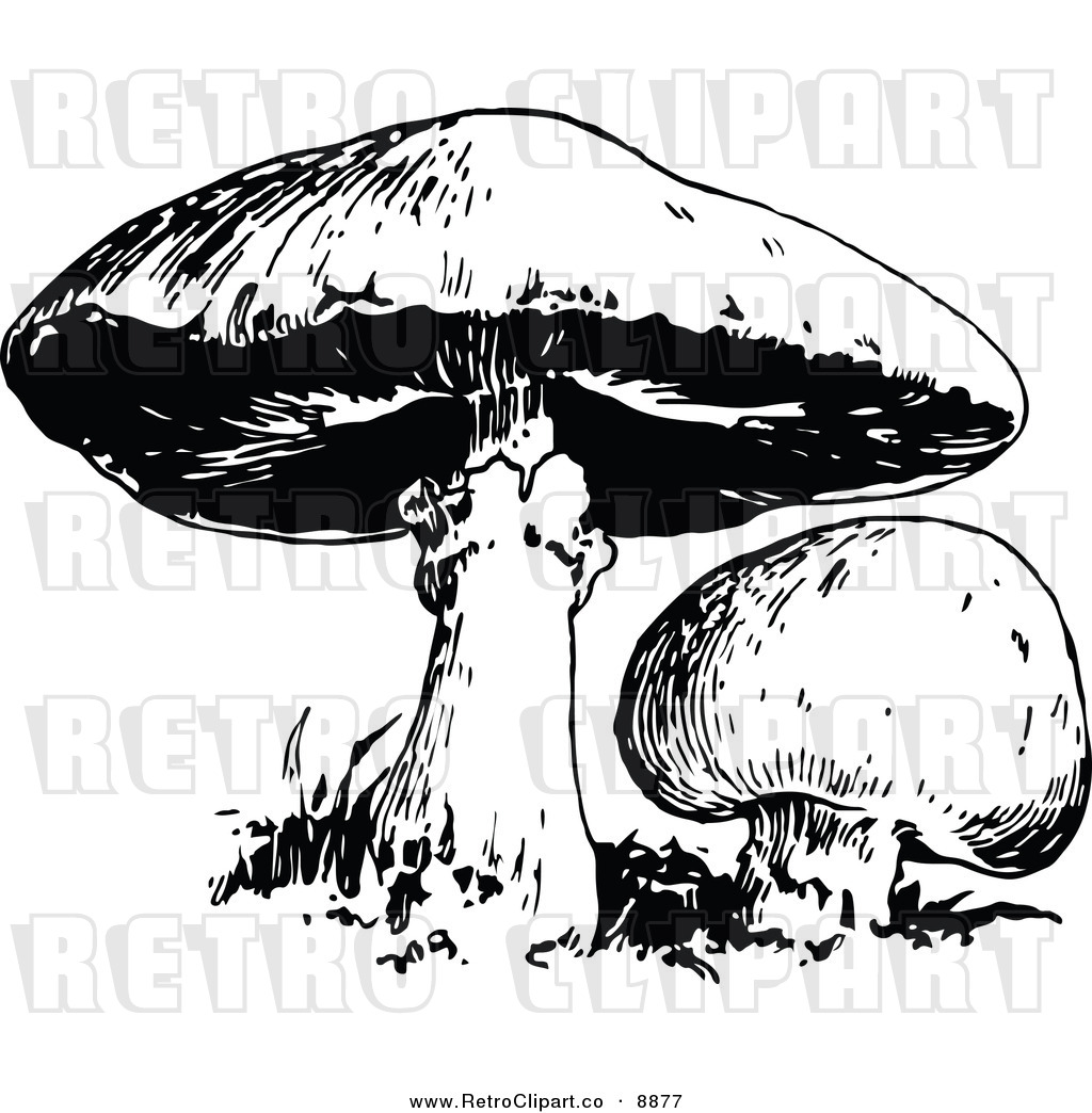 Vector Clipart Of Retro Black And White Mushrooms By Prawny Vintage