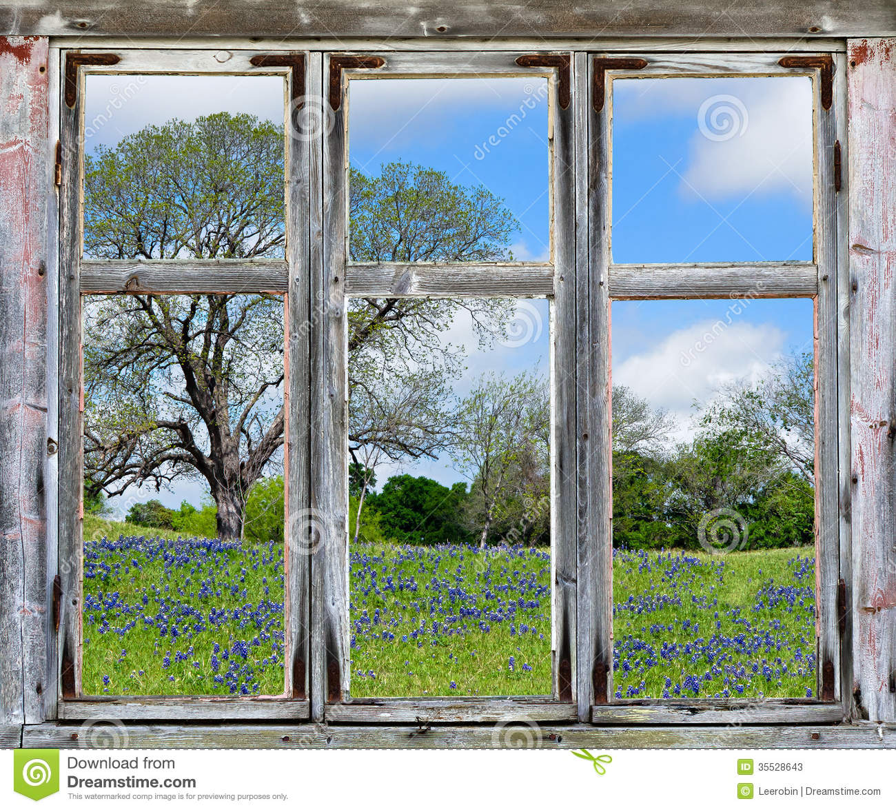     Vista With Texas Bluebonnets Seen Through An Old Rustic Window Frame
