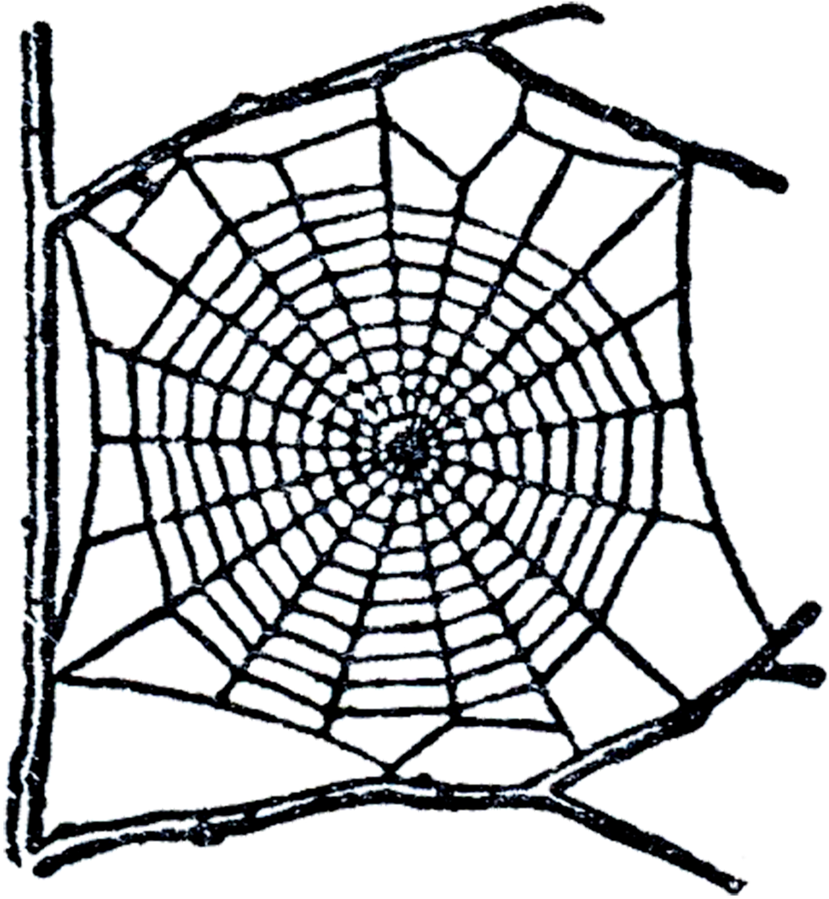 Corner Spider Web Clipart Free Spider Web Clip Art Graphicsfairy Jpg