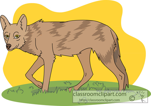Coyote Clipart   Coyote 2613   Classroom Clipart